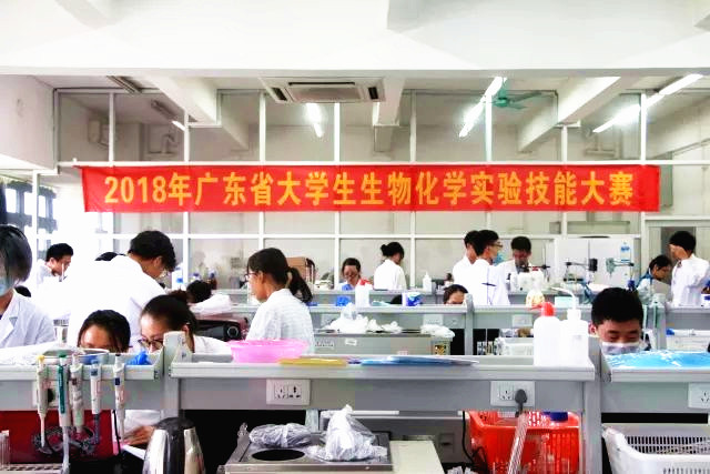 太阳城娱乐员工荣获广东省生物化学实验技能大赛二等奖02.jpg